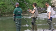 PIC_7036 (1)