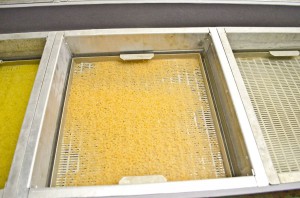 UOVA FARIO   